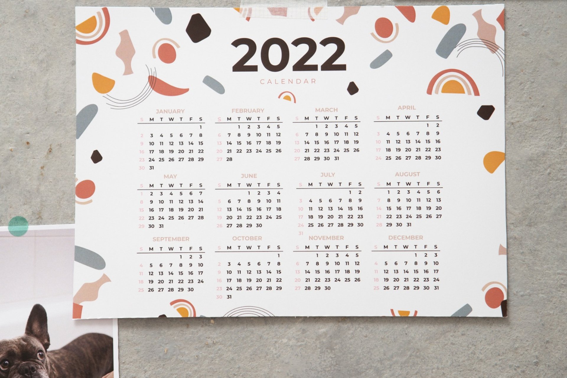 2022 wall calendar with modern abstract design taped to a grey wall, surrounded by photos of a cat and a dog.